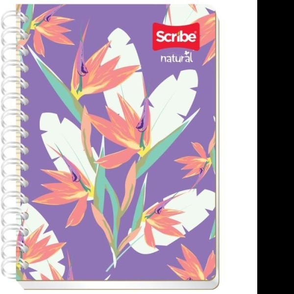CUADERNO FRANC. NATURAL SCRIBE 6020 RAYA ESP. 100H. C.36